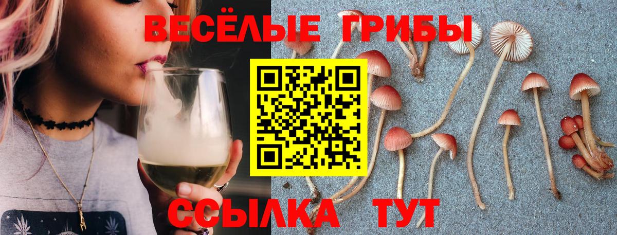 Назрань  где можно купить   Вход с VPN  Псилоцибиновые грибы мухоморы 
